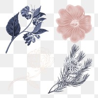 Hand drawn flower in vintage style design element set