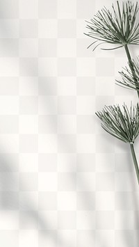 Papyrus plant png transparent and shadow