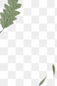 Dried leafy border frame png