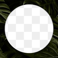 Blank round png leafy frame