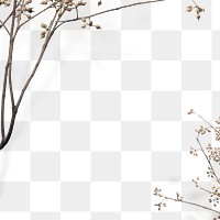 Png dry branch border transparent background