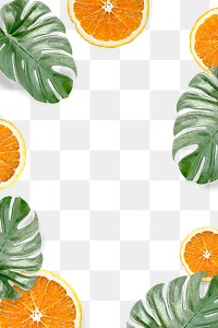 Green Monstera leaves and orange frame design element