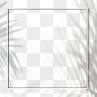 Palm leaves shadow frame design element