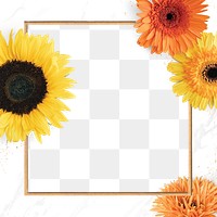 Gold square blooming sunflower frame design element