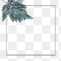 Png leatherleaf fern silver frame