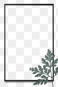 Black frame fern leaf png