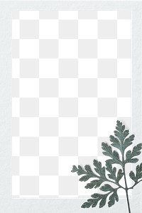 Fern leaf winter frame png