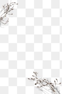 Dry flower twig png transparent background