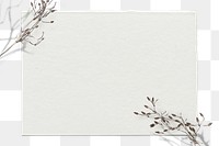 Png dry flower twig background