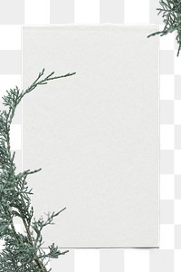 Png spruce twigs border card