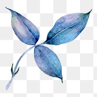 PNG blue watercolor leaf illustration