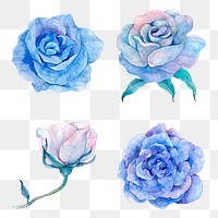 Blue watercolor rose png illustrations set