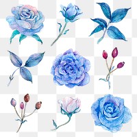 PNG blue watercolor flowers and leaves set