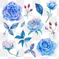 Blue watercolor flowers and leaves png set