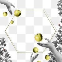 Png hands and apples frame hexagon background 