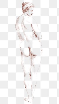 Back view naked woman png