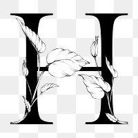 Png alphabet h sticker botanical font typography