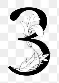 Png number three font floral typography