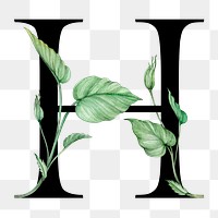 Png alphabet h sticker font floral typography