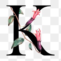 Png alphabet k sticker font floral typography