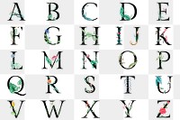 Png abc alphabet set botanical colorful watercolor typography