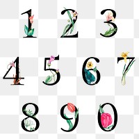 Png 123 number set botanical vintage typography