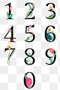 Png 123 number set floral decorated typography