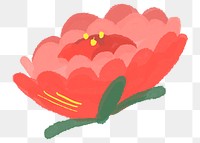 Red peony flower png floral illustration