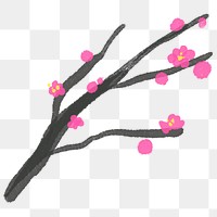 Plum blossom flower png floral illustration