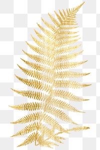 Hand drawn png fern leaf gold metallic vintage sticker
