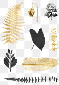 Vintage png leaf flower botanical gold black sticker set