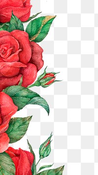 Blooming red rose border png transparent background