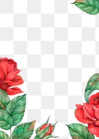 Red rose border frame png transparent background