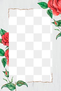 Blooming rose frame png transparent background