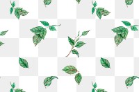 Glittery rose leaf pattern png transparent background