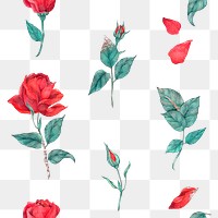 Blooming red rose png seamless pattern transparent background