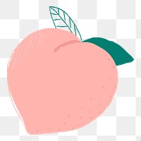 Png pastel hand drawn peach fruit clipart