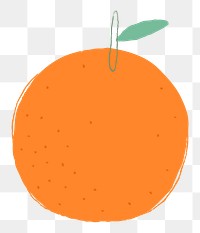 Png pastel hand drawn orange fruit clipart