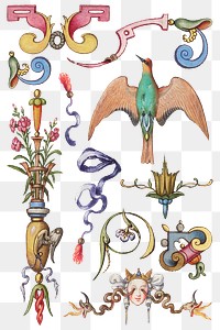 Victorian element decorative png style set, remix from The Model Book of Calligraphy Joris Hoefnagel and Georg Bocskay