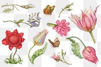 Vintage flowers png illustration floral drawing set, remix from The Model Book of Calligraphy Joris Hoefnagel and Georg Bocskay