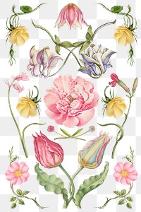 Vintage blooming flower illustration png set, remix from The Model Book of Calligraphy Joris Hoefnagel and Georg Bocskay