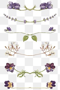 Floral divider png remix from The Model Book of Calligraphy Joris Hoefnagel and Georg Bocskay