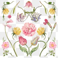 Vintage blooming flower illustration png set, remix from The Model Book of Calligraphy Joris Hoefnagel and Georg Bocskay