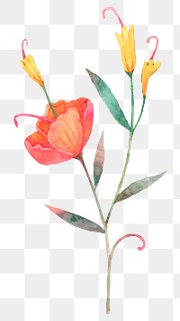 Png orange watercolor flower sticker