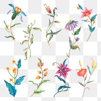 Png colorful watercolor flower sticker set