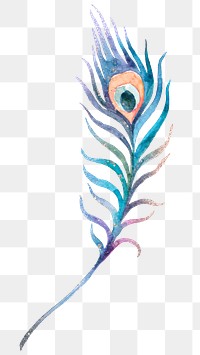 Png blue watercolor peacock feather sticker