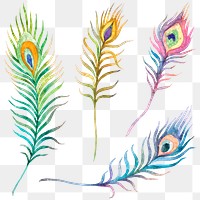 Png colorful watercolor peacock feather sticker set