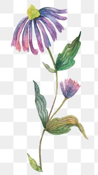 Png purple watercolor flower sticker