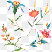 Png colorful watercolor flower sticker set