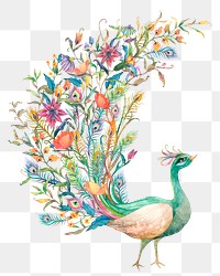 Peacock png in watercolor sticker